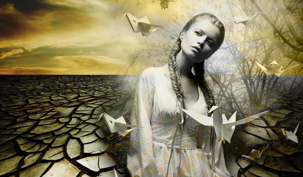 Agenzia di comunicazione integrata